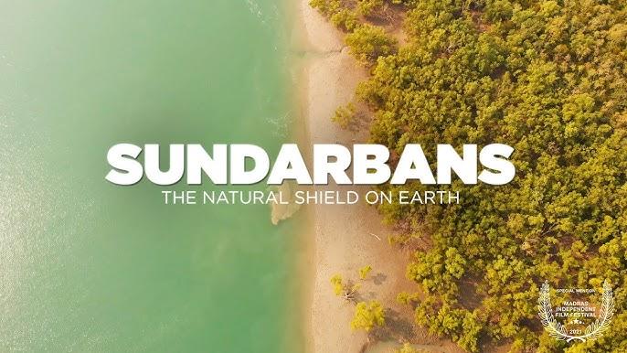The Sundarbans: Nature’s Shield and How We Can Keep It Clean
