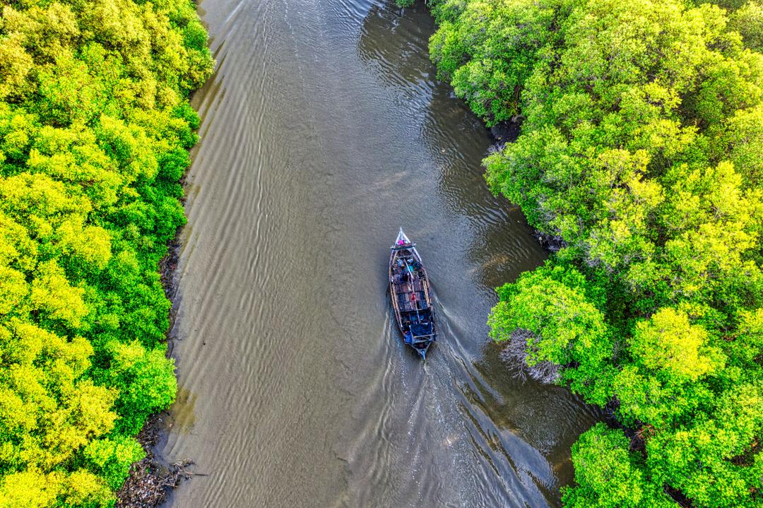 The Sundarbans: Nature’s Shield and How We Can Keep It Clean